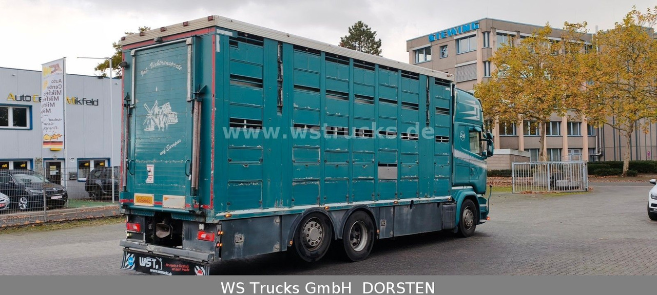 Scania R 490 Topline Menke 4 Stock Hubdach | Retader - Horse truck: picture 3 Scania R 490 Topline Menke 4 Stock Hubdach | Retader - Horse truck: picture 3