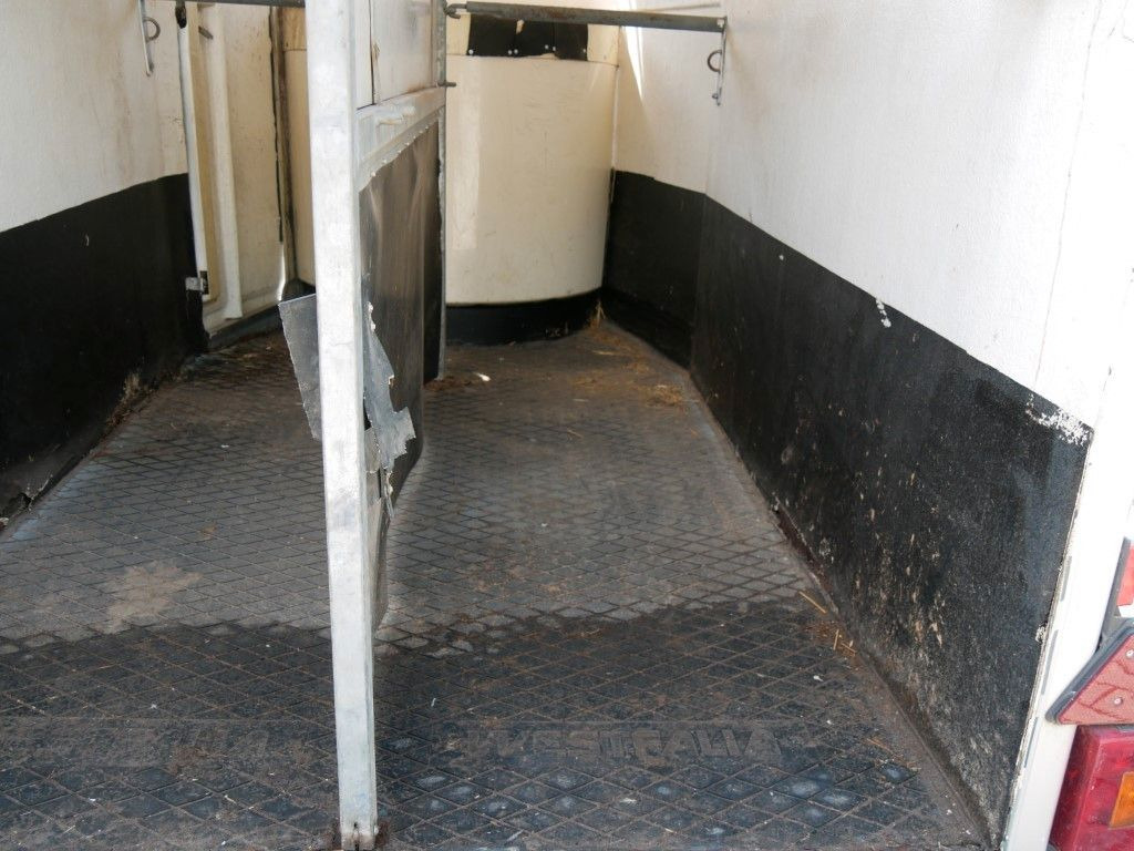 Westfalia Vollpoly 2 Pferde mit Sattelkammer - Horse trailer: picture 5 Westfalia Vollpoly 2 Pferde mit Sattelkammer - Horse trailer: picture 5