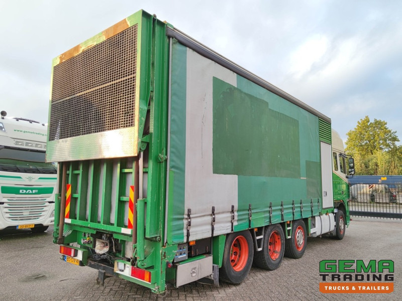DAF FAK XF95.430 8x2 Super SuperSpaceCab Euro3 - CurtainSider 7.31m + Ramp 16T - MachineTransporter - 6 Persons (V558) - Autotransporter truck: picture 4 DAF FAK XF95.430 8x2 Super SuperSpaceCab Euro3 - CurtainSider 7.31m + Ramp 16T - MachineTransporter - 6 Persons (V558) - Autotransporter truck: picture 4