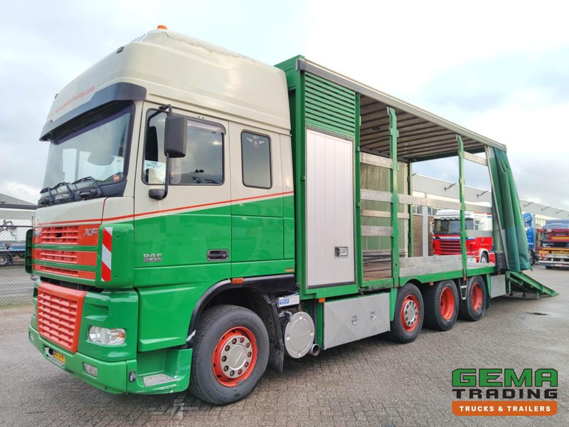 DAF FAK XF95.430 8x2 SuperSpaceCab Euro3 - CurtainSider 7.31m + Ramp 16T - MachineTransporter - 6 Persons  (V558) - Autotransporter truck: picture 1 DAF FAK XF95.430 8x2 SuperSpaceCab Euro3 - CurtainSider 7.31m + Ramp 16T - MachineTransporter - 6 Persons  (V558) - Autotransporter truck: picture 1