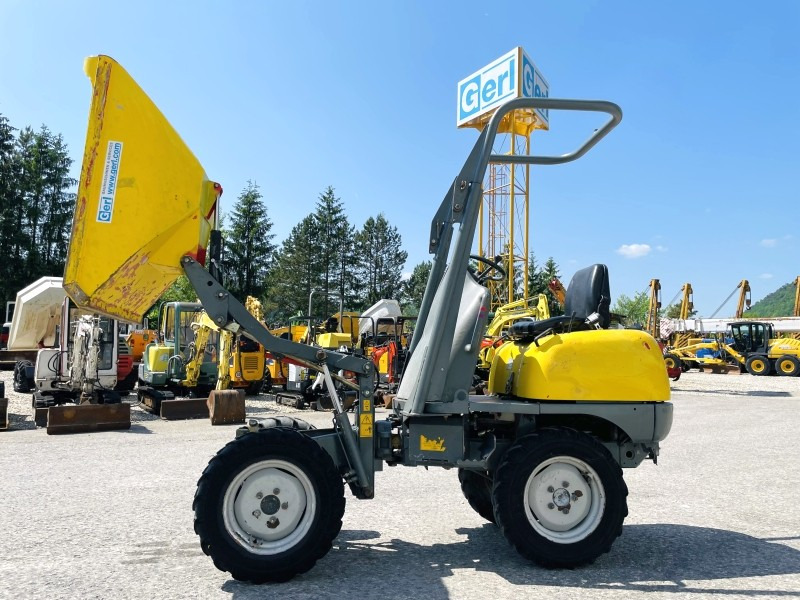 Neuson 1001 (3631) - Mini dumper: picture 2 Neuson 1001 (3631) - Mini dumper: picture 2