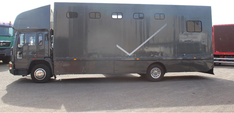 Volvo FL 614 + MANUAL + EURO 0 - Horse truck: picture 5 Volvo FL 614 + MANUAL + EURO 0 - Horse truck: picture 5
