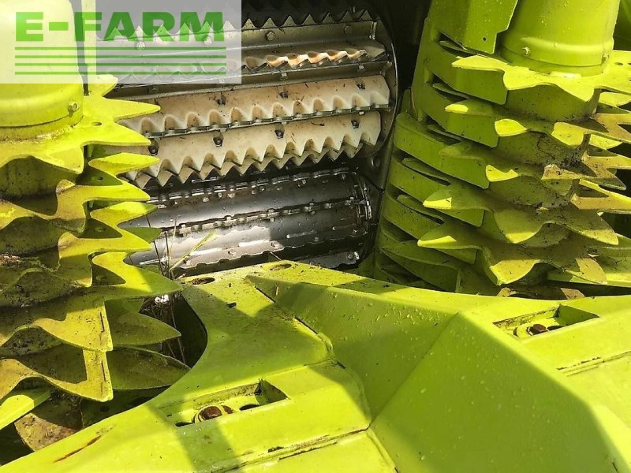 Forage harvester attachment CLAAS orbis 450: picture 18
