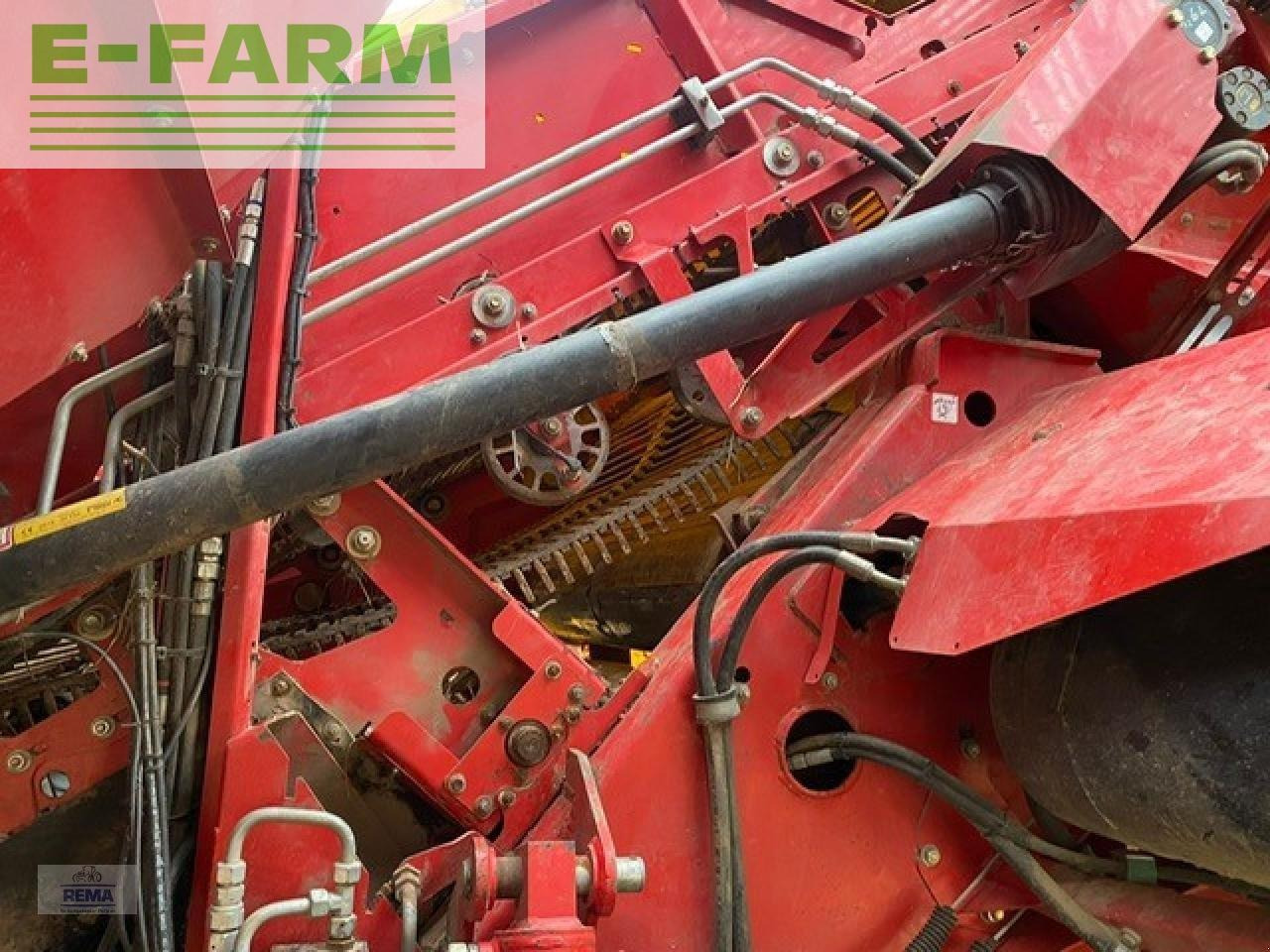 Potato harvester Grimme evo 290 airsep: picture 7