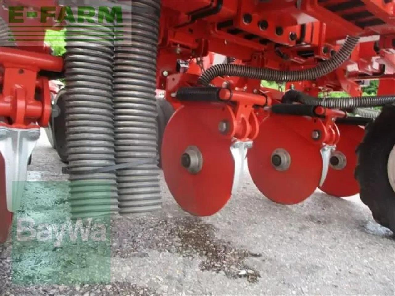 Precision sowing machine Maschio maga 6-reihig gaspardo pneumat: picture 20