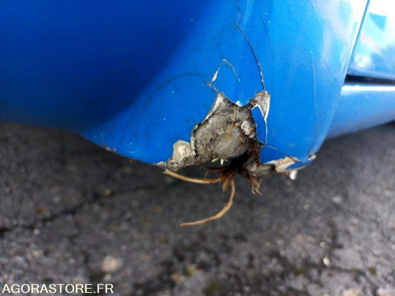 School bus CAR MAN SYTER 919-AMP-51: picture 10 School bus CAR MAN SYTER 919-AMP-51: picture 10