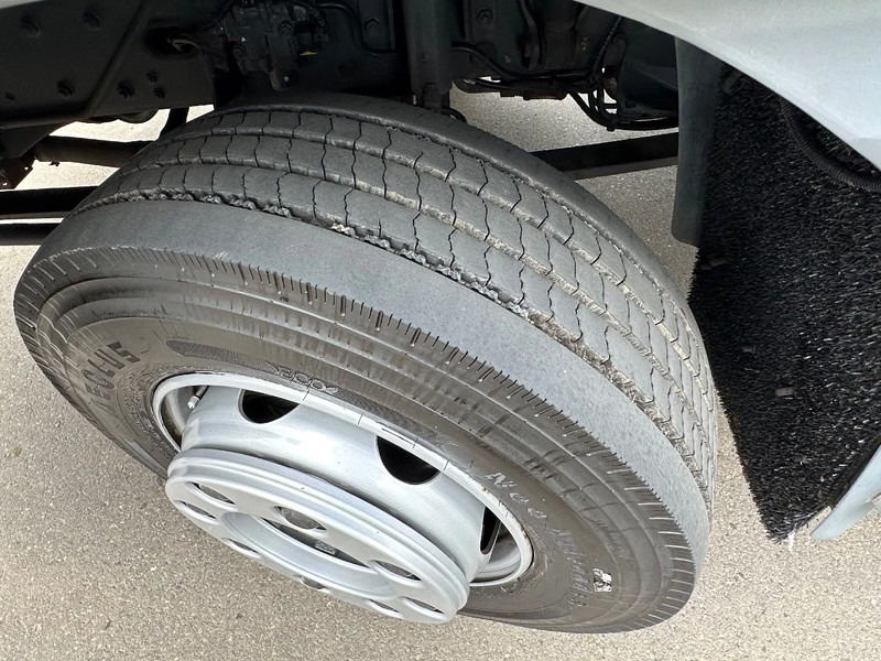 Box truck DAF LF 210 LF210.12 EURO6. 2019. 620x249x260!: picture 12