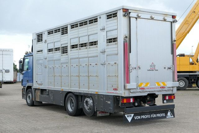 Mercedes-Benz 2541 L Actros 6x2, Finkl, 3 Stock,Kombi Liner XL - Horse truck: picture 3 Mercedes-Benz 2541 L Actros 6x2, Finkl, 3 Stock,Kombi Liner XL - Horse truck: picture 3