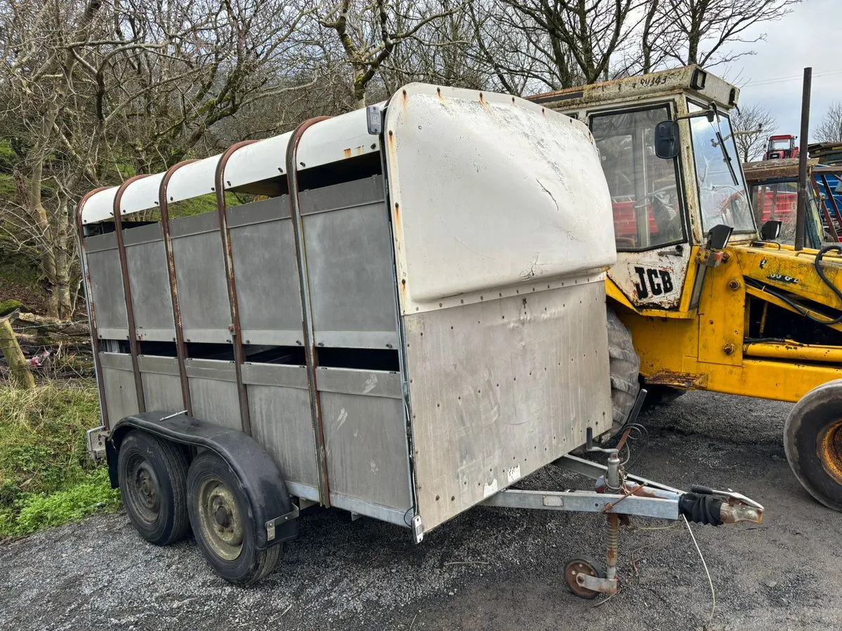 10X6 Ivor Williams - Livestock trailer: picture 1 10X6 Ivor Williams - Livestock trailer: picture 1