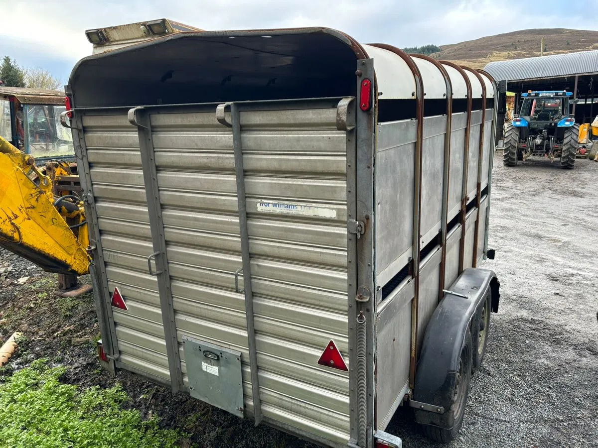 10X6 Ivor Williams - Livestock trailer: picture 5 10X6 Ivor Williams - Livestock trailer: picture 5