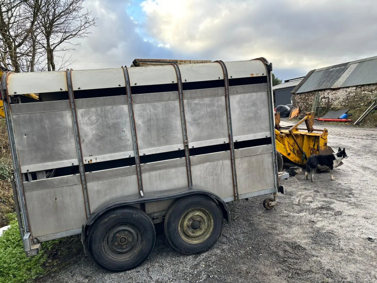 10X6 Ivor Williams - Livestock trailer: picture 4 10X6 Ivor Williams - Livestock trailer: picture 4