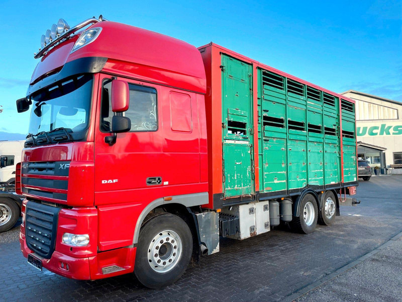 DAF XF 105.460 2-Stock Finkl Viehaufbau / Lenkachs - Livestock truck: picture 2 DAF XF 105.460 2-Stock Finkl Viehaufbau / Lenkachs - Livestock truck: picture 2