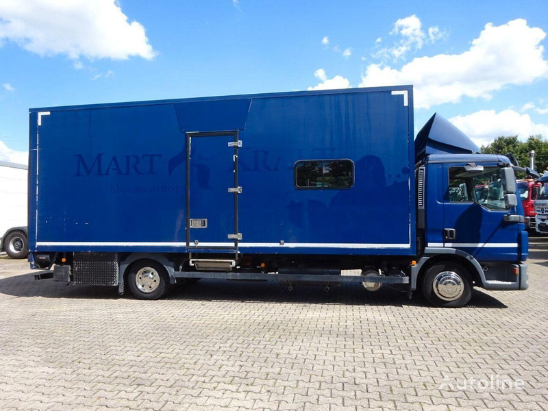 MAN 8.220 - Koffer - Box truck: picture 4 MAN 8.220 - Koffer - Box truck: picture 4