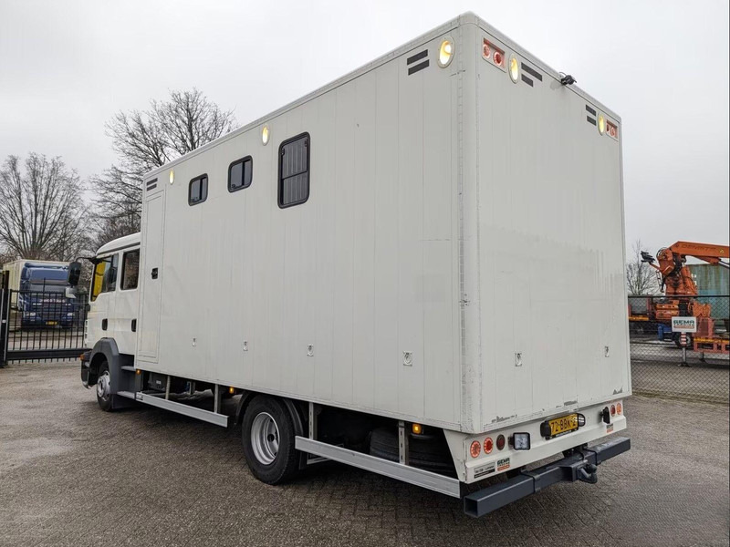 MAN TGL 12.180 - Doka Horse transporter - Horse truck: picture 4 MAN TGL 12.180 - Doka Horse transporter - Horse truck: picture 4