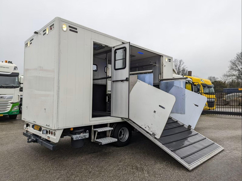 MAN TGL 12.180 - Doka Horse transporter - Horse truck: picture 3 MAN TGL 12.180 - Doka Horse transporter - Horse truck: picture 3
