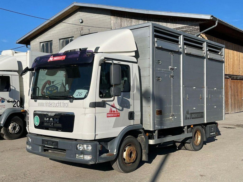MAN TGL 12.220 - Livestock truck: picture 2 MAN TGL 12.220 - Livestock truck: picture 2