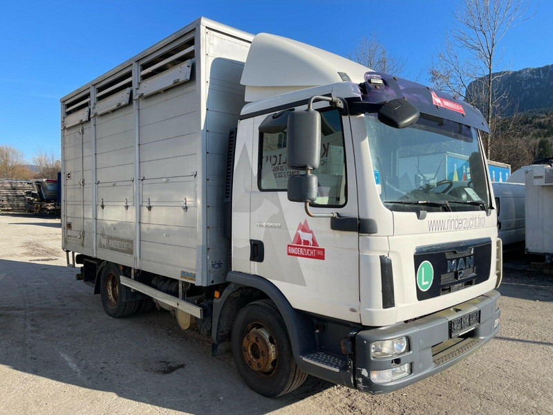 MAN TGL 12.220 - Livestock truck: picture 1 MAN TGL 12.220 - Livestock truck: picture 1