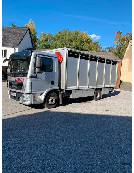 MAN TGL 12.250 - Livestock truck: picture 2 MAN TGL 12.250 - Livestock truck: picture 2