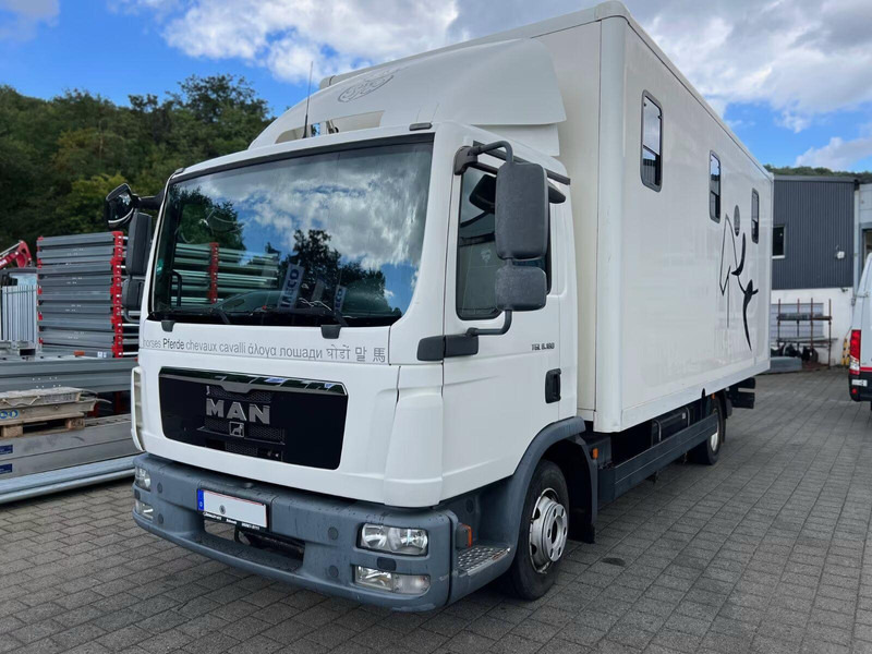 MAN TGL 8.180 - Horse transporter - Horse truck: picture 1 MAN TGL 8.180 - Horse transporter - Horse truck: picture 1