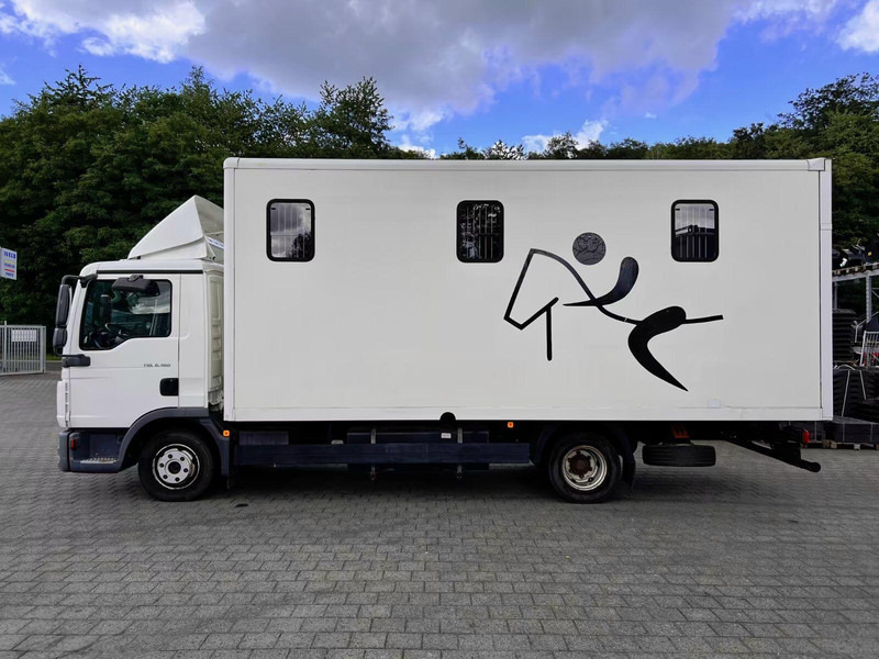 MAN TGL 8.180 - Horse transporter - Horse truck: picture 3 MAN TGL 8.180 - Horse transporter - Horse truck: picture 3