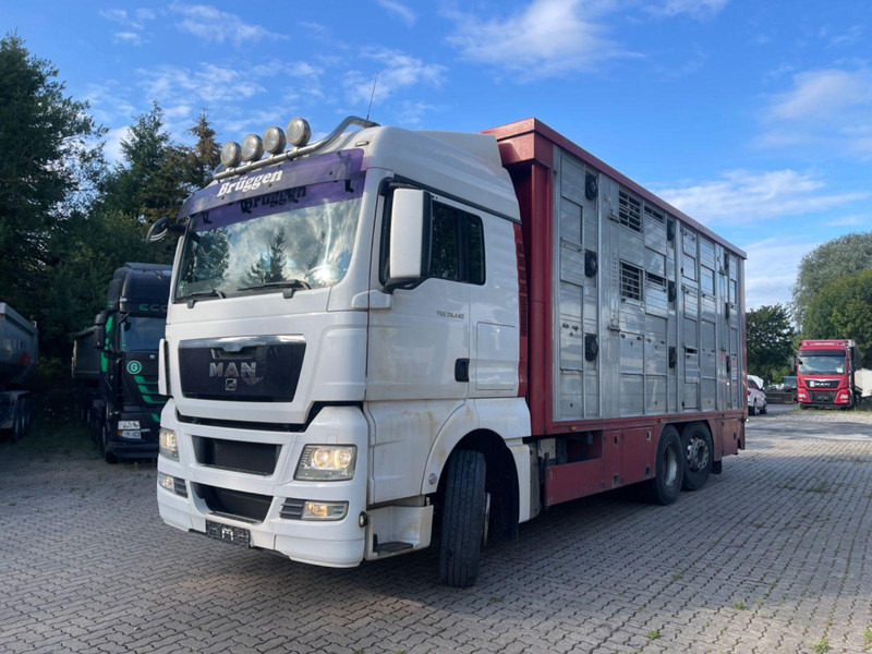 MAN TGX 26.400 6x2-2 LL 3 Stück Finkl Hubdach - Livestock truck: picture 2 MAN TGX 26.400 6x2-2 LL 3 Stück Finkl Hubdach - Livestock truck: picture 2