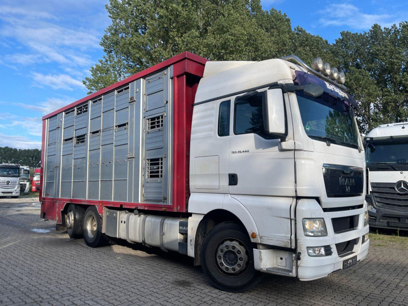 MAN TGX 26.400 6x2-2 LL 3 Stück Finkl Hubdach - Livestock truck: picture 1 MAN TGX 26.400 6x2-2 LL 3 Stück Finkl Hubdach - Livestock truck: picture 1