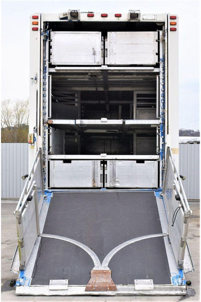 Scania R 500 - Livestock truck: picture 4 Scania R 500 - Livestock truck: picture 4