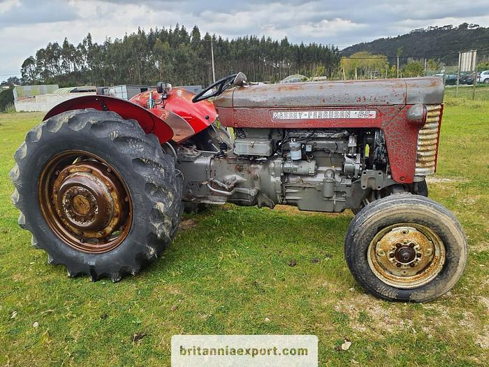 Massey Ferguson 65 | 4 cylinder diesel | disc brakes - Farm tractor: picture 1 Massey Ferguson 65 | 4 cylinder diesel | disc brakes - Farm tractor: picture 1