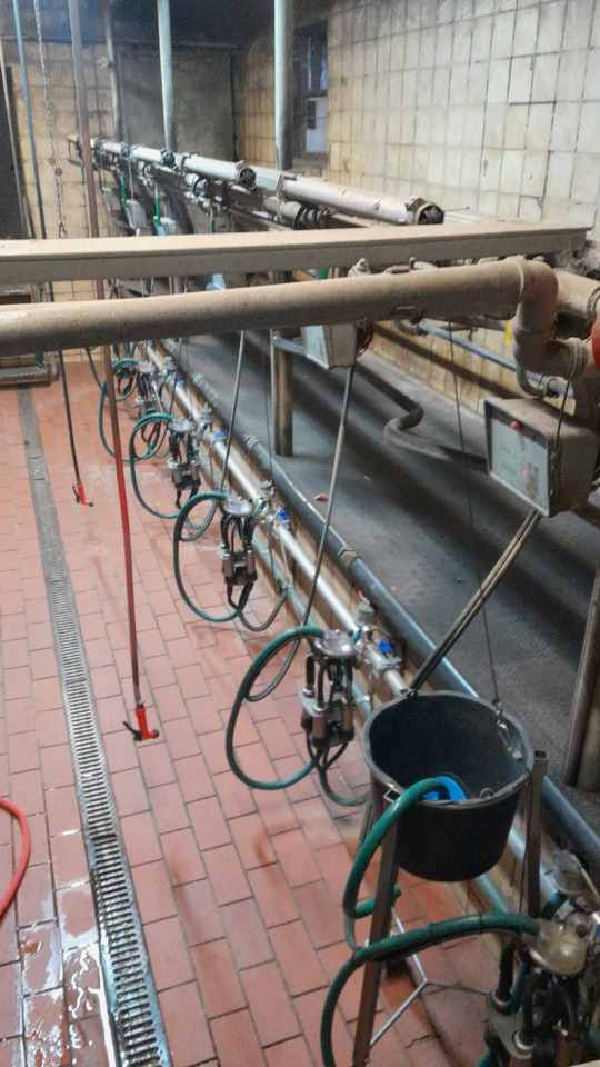 Melkstand - Milking equipment: picture 2 Melkstand - Milking equipment: picture 2