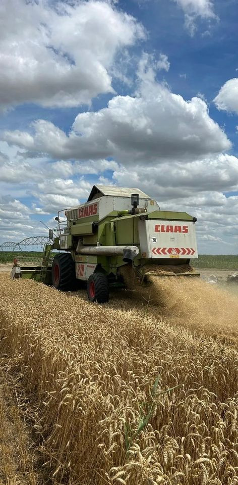 Claas MEGA 218 - Combine harvester: picture 5 Claas MEGA 218 - Combine harvester: picture 5