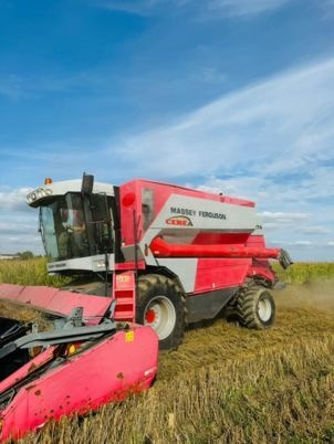 Massey Ferguson 7274 CEREA - Combine harvester: picture 1 Massey Ferguson 7274 CEREA - Combine harvester: picture 1
