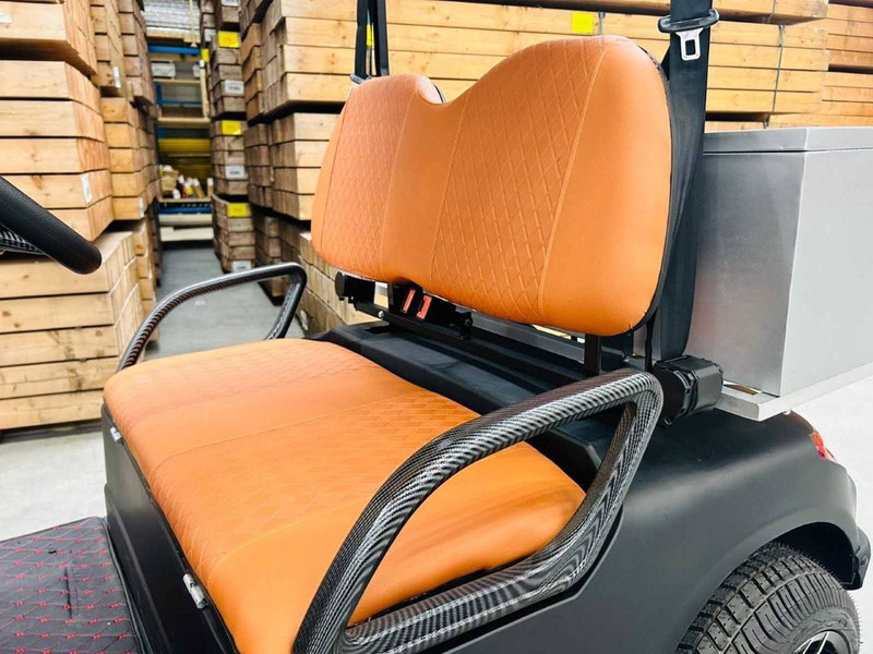 New Golf cart RTE: picture 19
