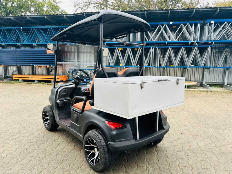 New Golf cart RTE: picture 8